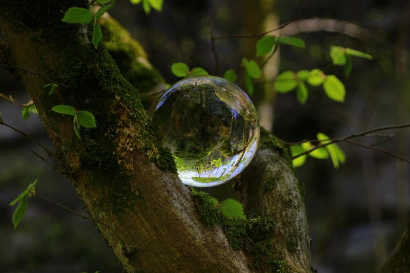 Secrets of Enchantment