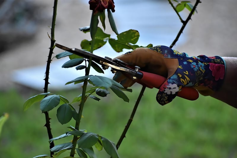 Spellbound Pruners