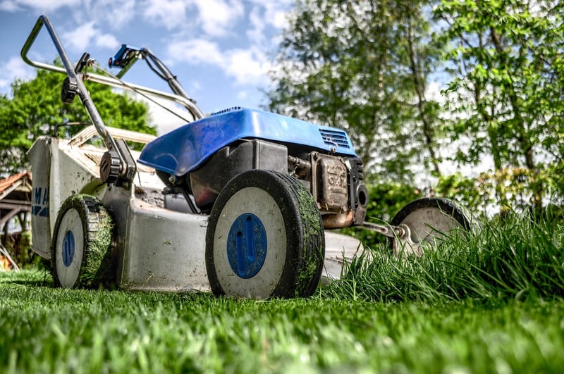 Landscaping Image